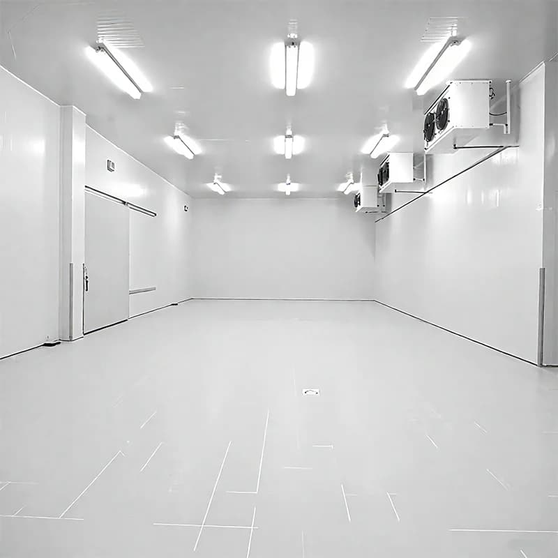 Conteneur de congélation et de stockage frigorifique commercial personnalisé pour supermarché, intelligent pour la préservation des fleurs