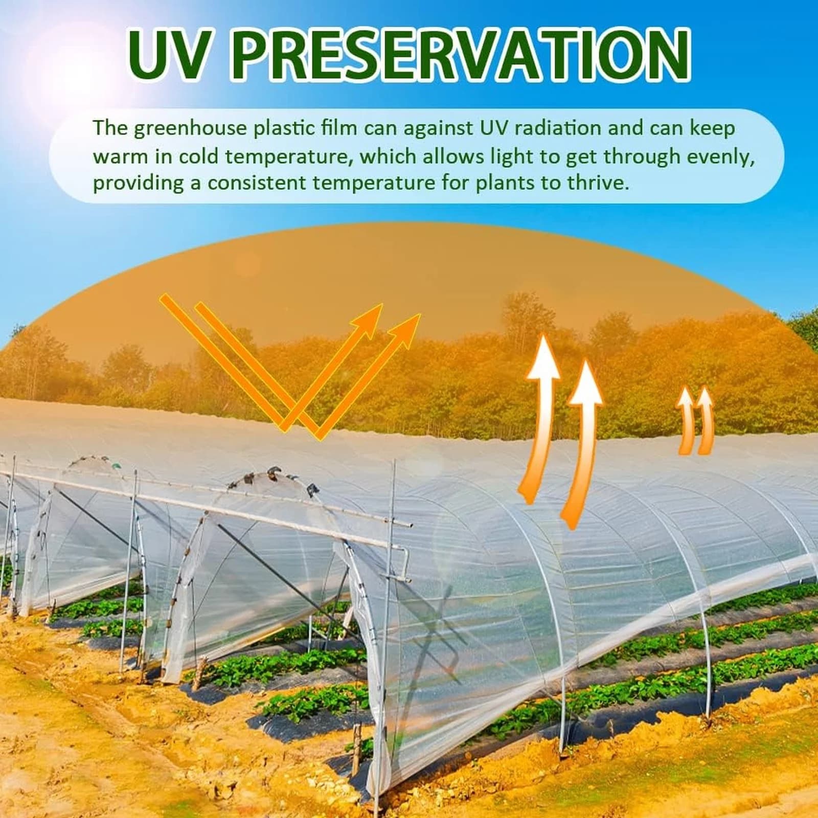 Film transparent pour serre, film épais transparent pour serre arquée, couverture en plastique pour serre agricole, protection contre le froid pour le jardinage