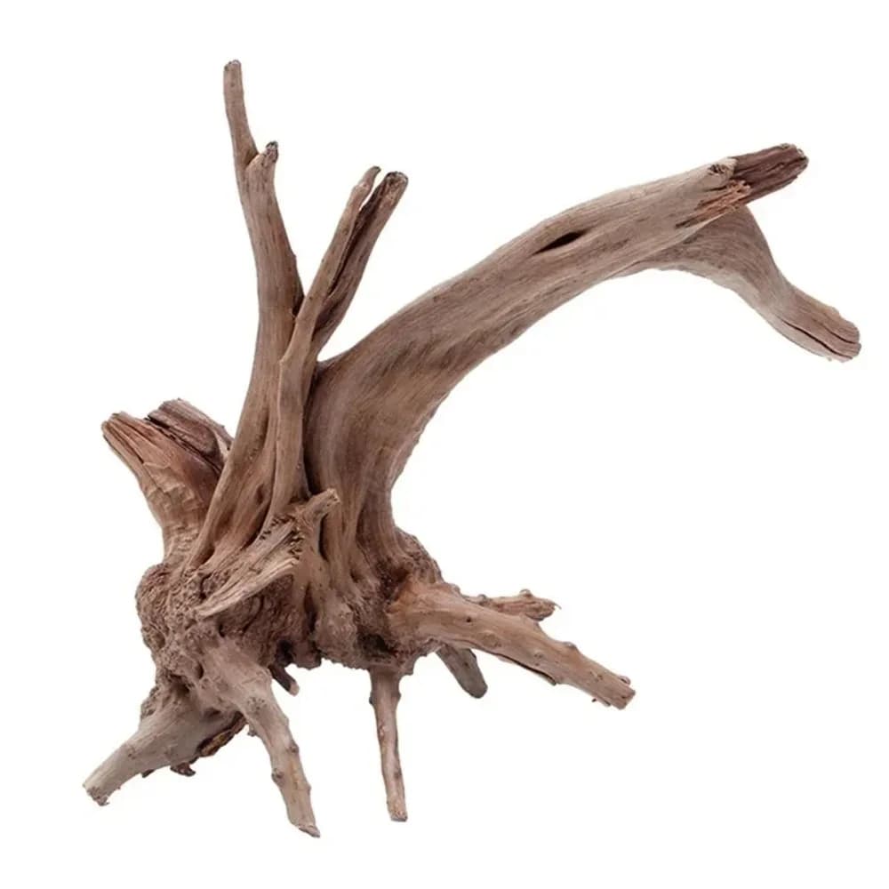 Décoration d'aquarium en bois naturel pour reptiles : Tronc d'arbre, bois flotté, racines, accessoire pour plantes d'aquarium