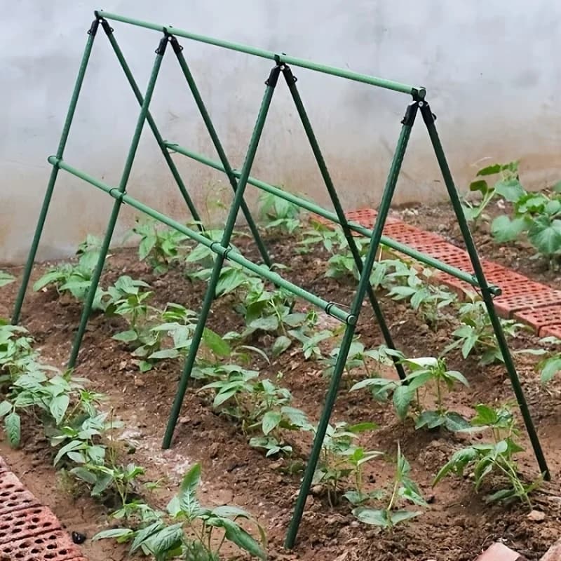 Support de pergola pour jardin vert - Tiges de support pour plantes en acier revêtu de PVC, supports de plantation pour potager, supports pour vignes