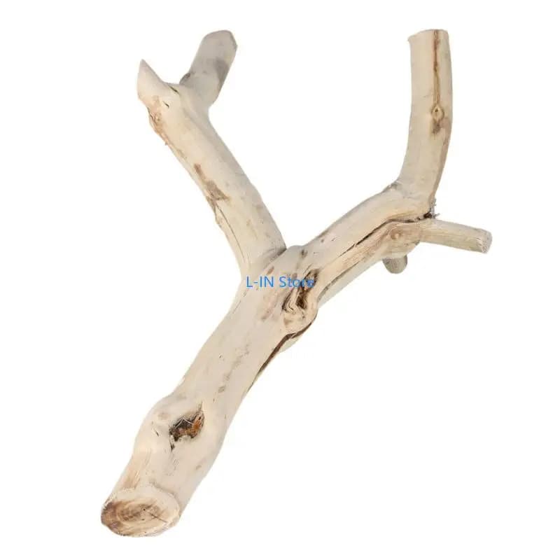 Tronc Bois Flotté pour Lézards Geckos pour Terrariums Reptiles Tronc Paysage