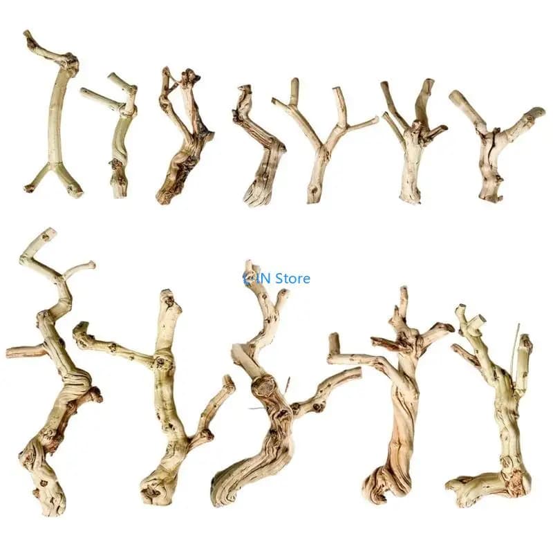 Tronc Bois Flotté pour Lézards Geckos pour Terrariums Reptiles Tronc Paysage