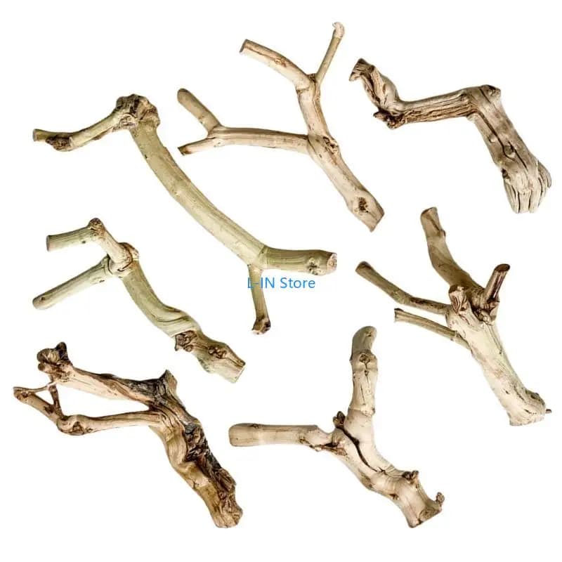 Tronc Bois Flotté pour Lézards Geckos pour Terrariums Reptiles Tronc Paysage