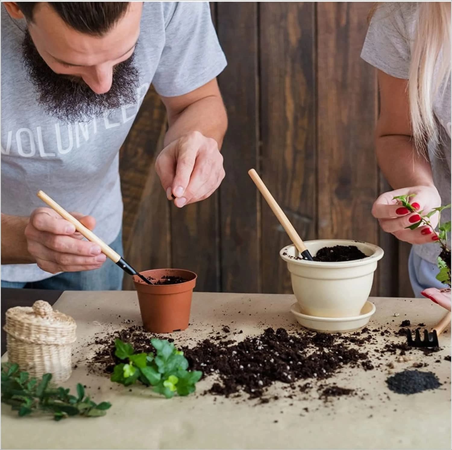 Outils de jardinage, ensemble de trois pièces, Mini outils de jardin, pelle multifonction, pelle de herse, plante domestique, pelle de sol en pin