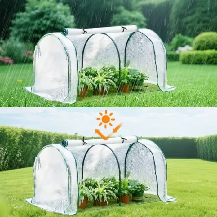 Mini serre transparente pour plantes