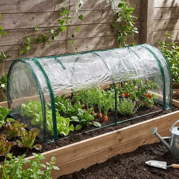 Mini serre transparente pour plantes