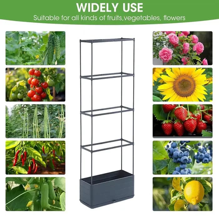 Tour de culture verticale pour tomates avec treillis