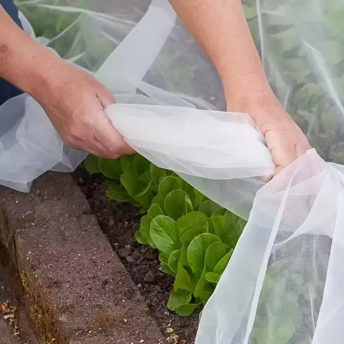 Protection de serre filet anti-insectes agricoles polyvalent maille améliorée pour légumes arbres fruitiers prévention des oiseaux lutte antiparasitaire