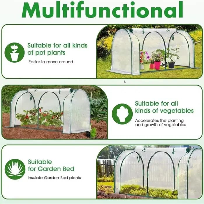 Mini serre transparente pour plantes