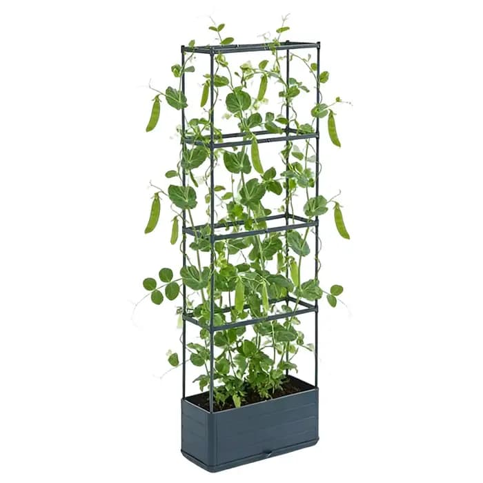 Tour de culture verticale pour tomates avec treillis