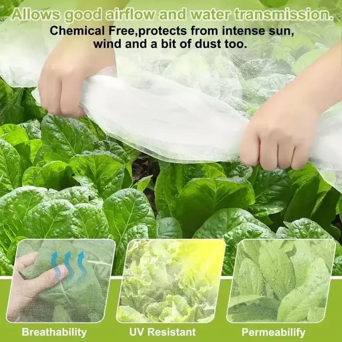 Protection de serre filet anti-insectes agricoles polyvalent maille améliorée pour légumes arbres fruitiers prévention des oiseaux lutte antiparasitaire