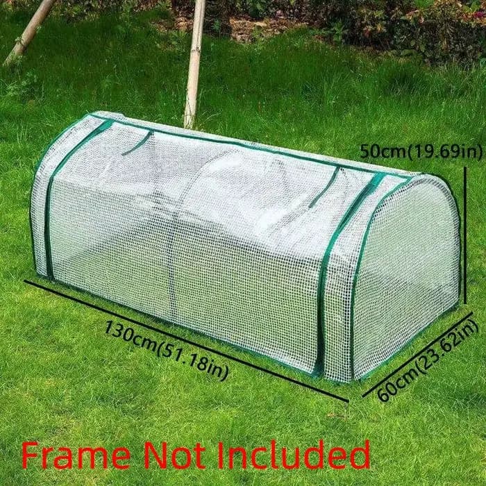 Mini serre transparente pour plantes