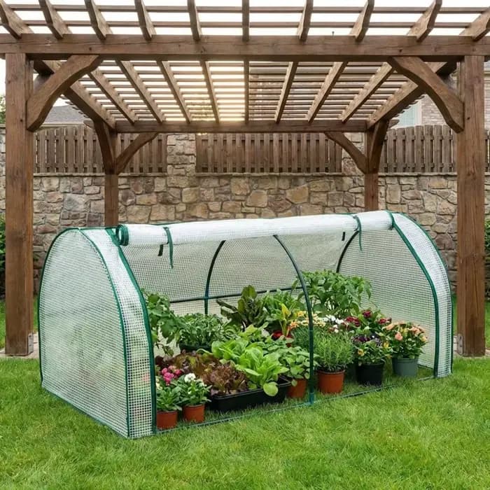 Mini serre transparente pour plantes