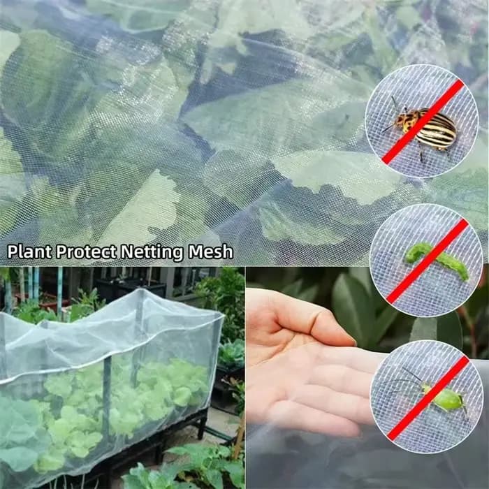 Protection de serre filet anti-insectes agricoles polyvalent maille améliorée pour légumes arbres fruitiers prévention des oiseaux lutte antiparasitaire
