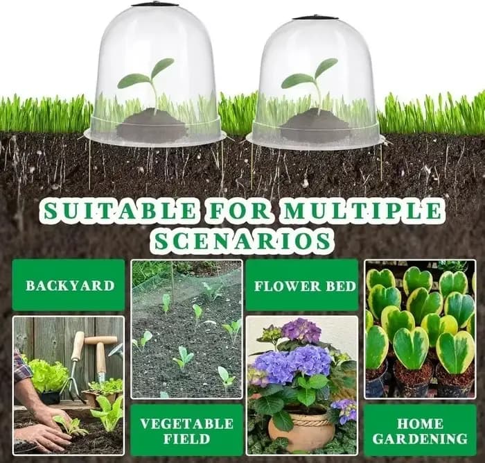 Mini serre en plastique